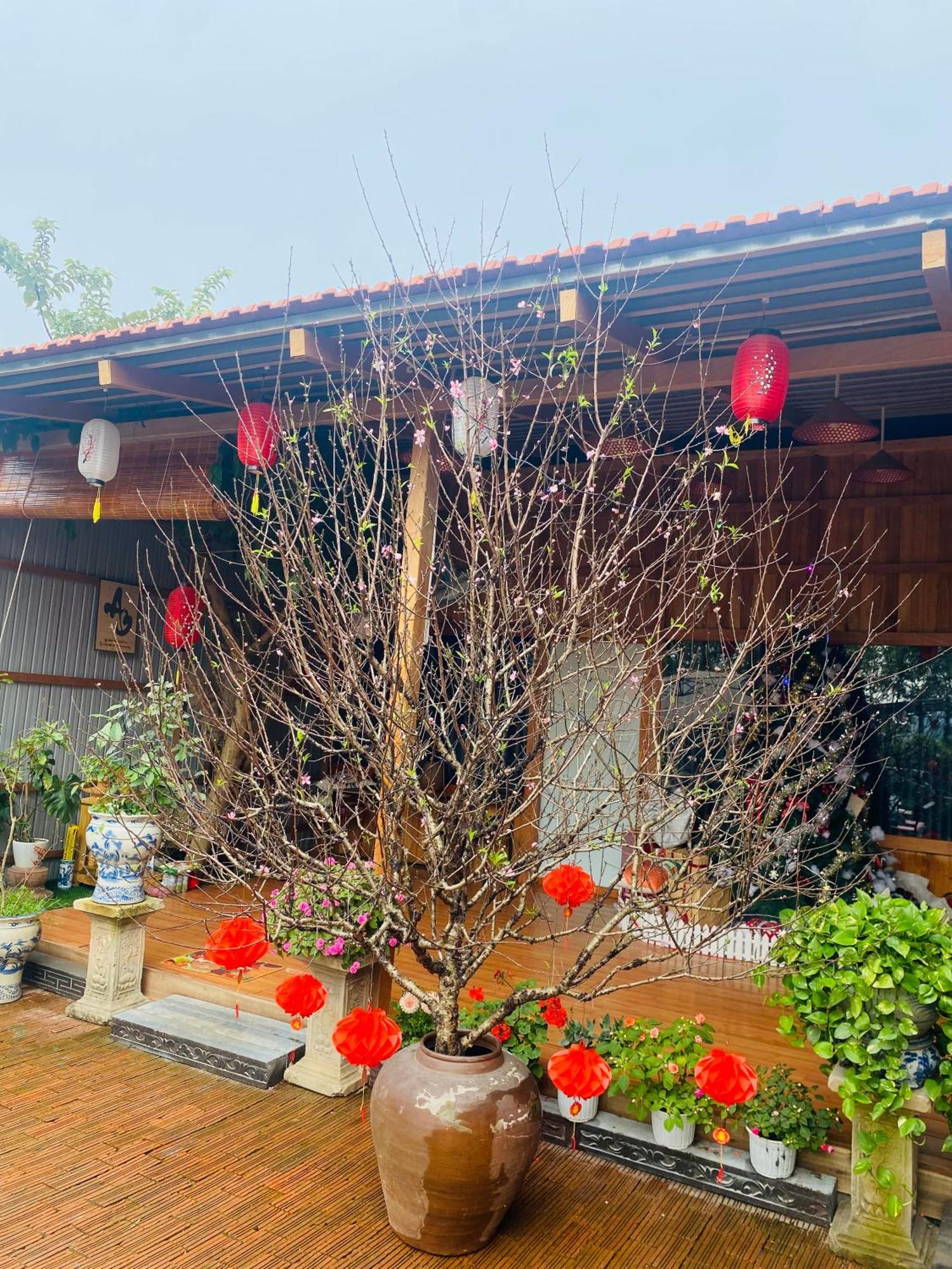 An Homestay Tam Coc 宁平 外观 照片