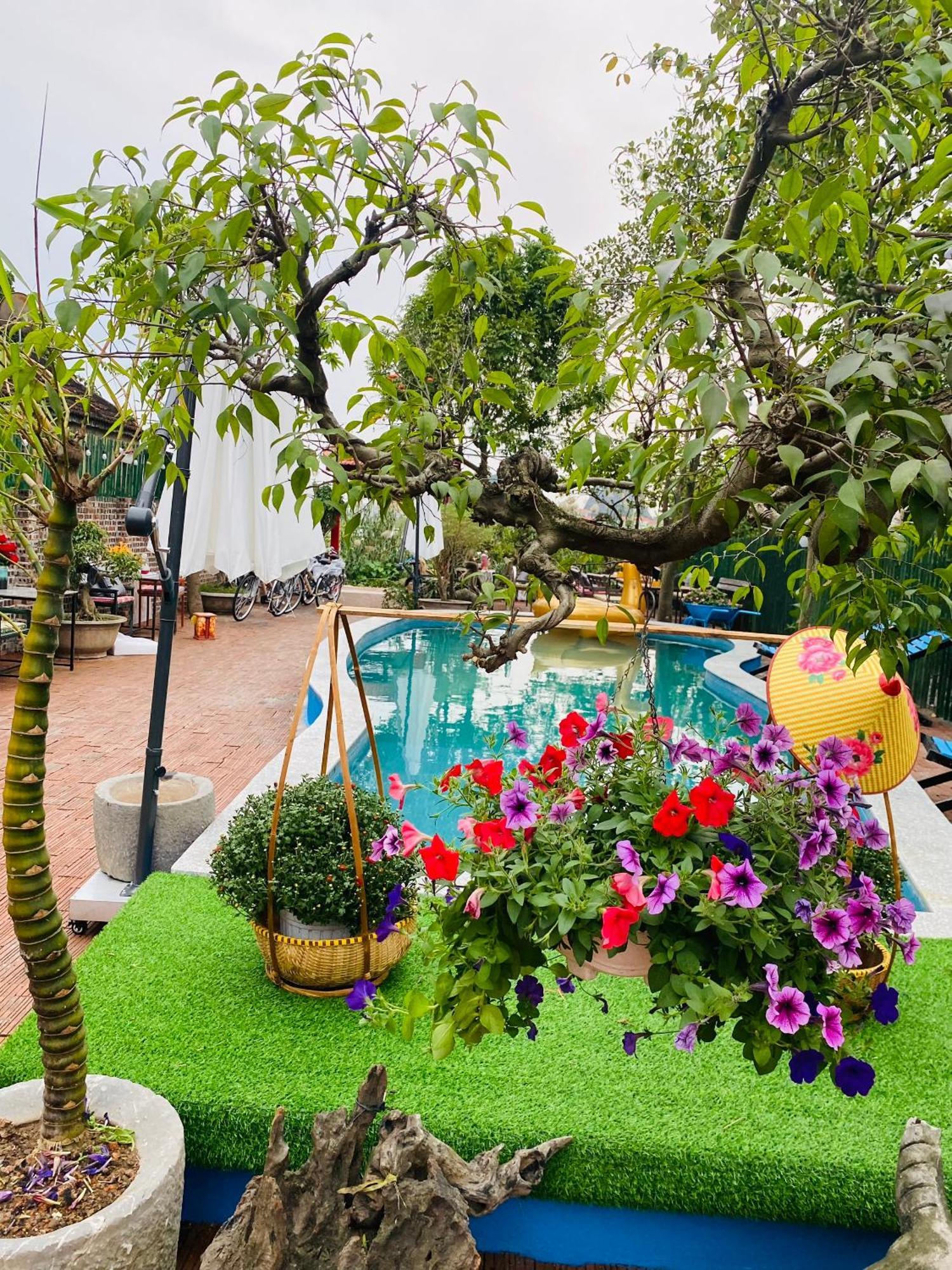An Homestay Tam Coc 宁平 外观 照片